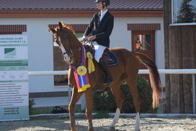 DSC_0948